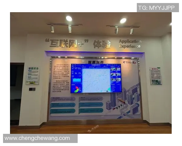 彩合网助力数字经济发展打造全新在线服务平台提升用户体验